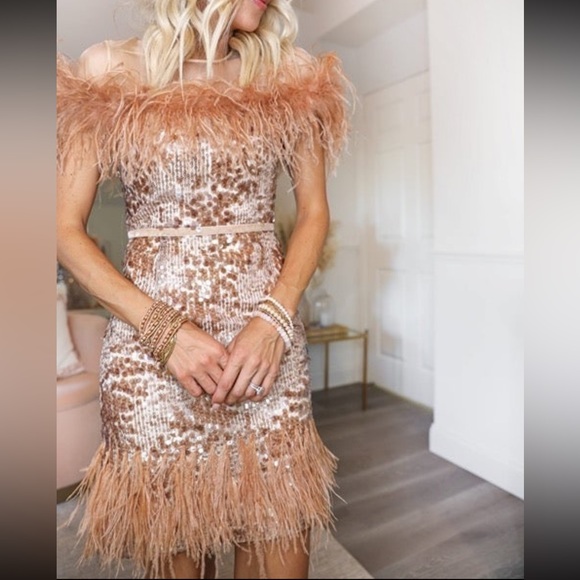 Antonio Melani x Nicola Bathie Collab
Feather Sequin Silk Mini Dress Size 2 - Picture 10 of 10